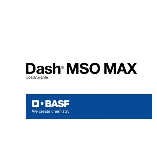 DASH MSO MAX | 20 lts