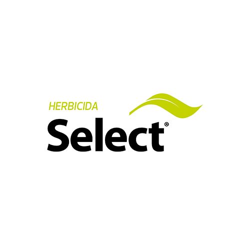 SELECT - Cletodim 24% | 10 lts